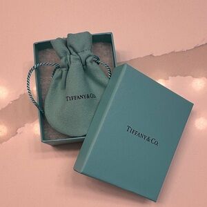 Tiffany & Co. Robin's-egg Blue Box with Matching Pouch
